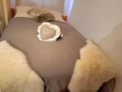 Ein Bett oder Betten in einem Zimmer der Unterkunft Vacances en tout tranquillité à Vercorin