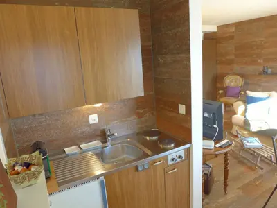 Küche/Küchenzeile in der Unterkunft Studio Résidence du Rhône B40 by Interhome
