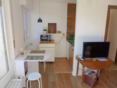 Küche/Küchenzeile in der Unterkunft Studio Résidence du Rhône B40 by Interhome