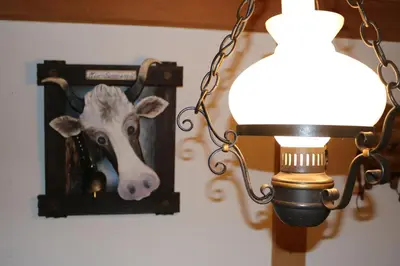 Tiere im Hotel oder in der Nähe