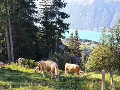 Naturlandschaft in der Nähe des Ferienhauses