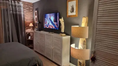 TV/Unterhaltungsangebot in der Unterkunft Superbe studio avec parking privé