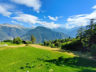 Naturlandschaft in der Nähe der Ferienwohnung
