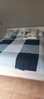 Ein Bett oder Betten in einem Zimmer der Unterkunft Nuova Locanda Turisti