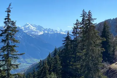 Naturlandschaft in der Nähe der Ferienwohnung