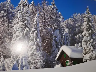 Apartment Chalet Grindelwaldgletscher by Interhome im Winter