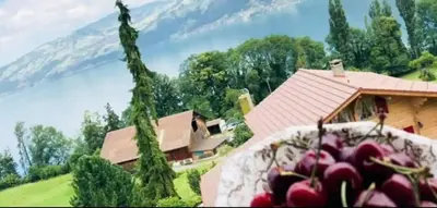 Naturlandschaft in der Nähe der Ferienwohnung