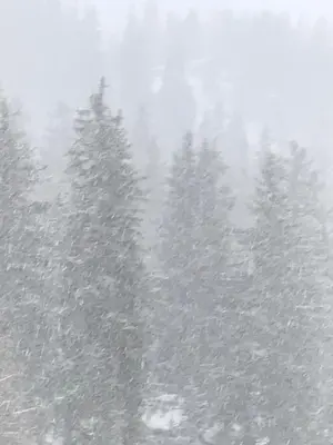 Magnifique résidence à quelques pas des remontées mécaniques et centre Montana im Winter