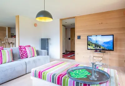 TV/Unterhaltungsangebot in der Unterkunft Chalet Vreneli