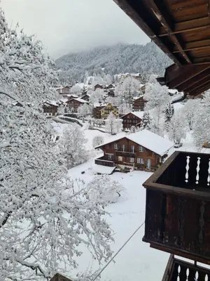 Traditional chalet in Wengen - Top Floor im Winter